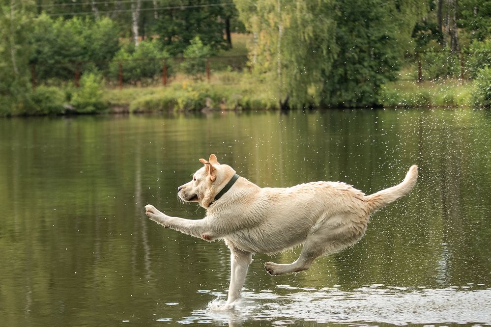Photograph by Любовь Головина