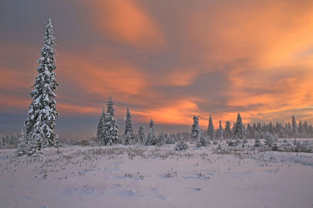 Фотография автора Юрий Кетель