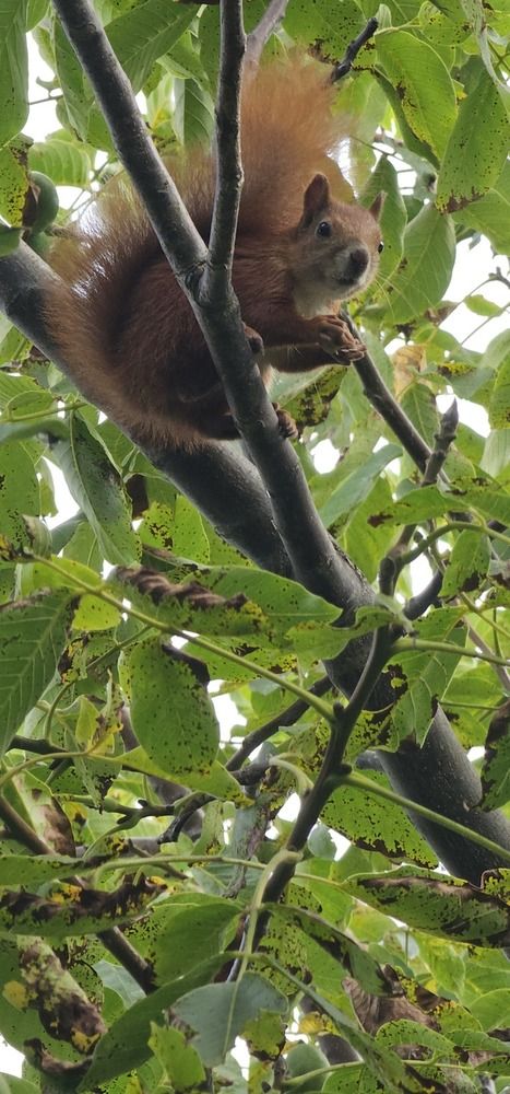Фотография автора Александр Петуховский