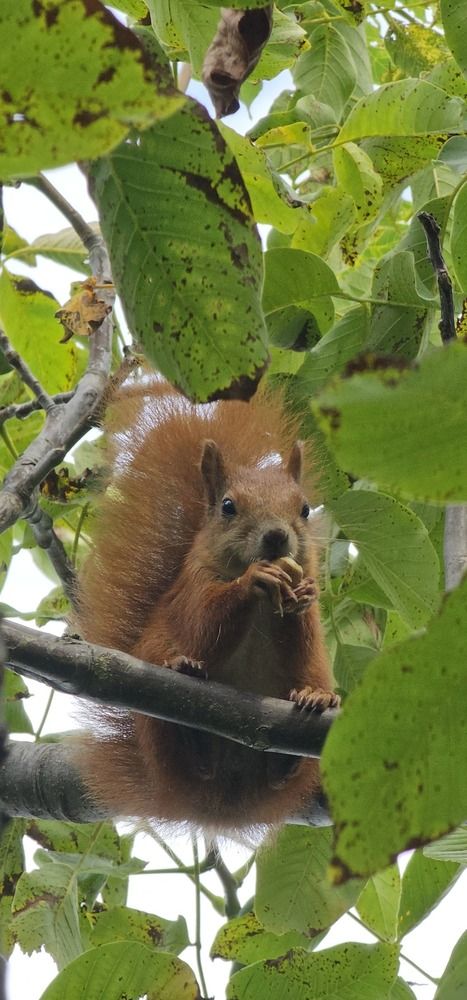 Фотография автора Александр Петуховский