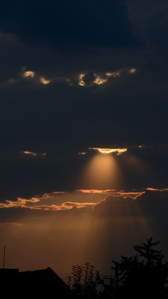 Фотография автора Наталья Алексеева