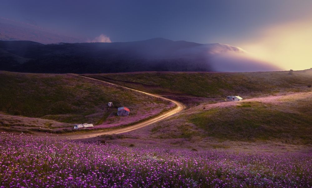 Photograph by Morteza Ghanbari