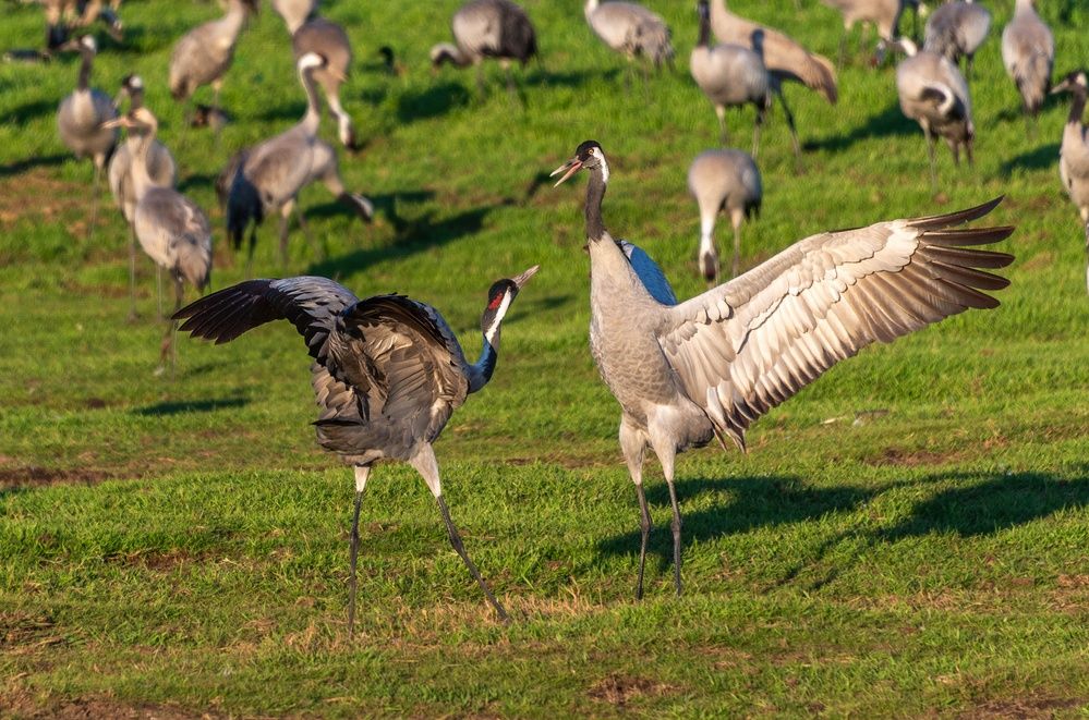 Photograph by Vladimir Bragilevsky