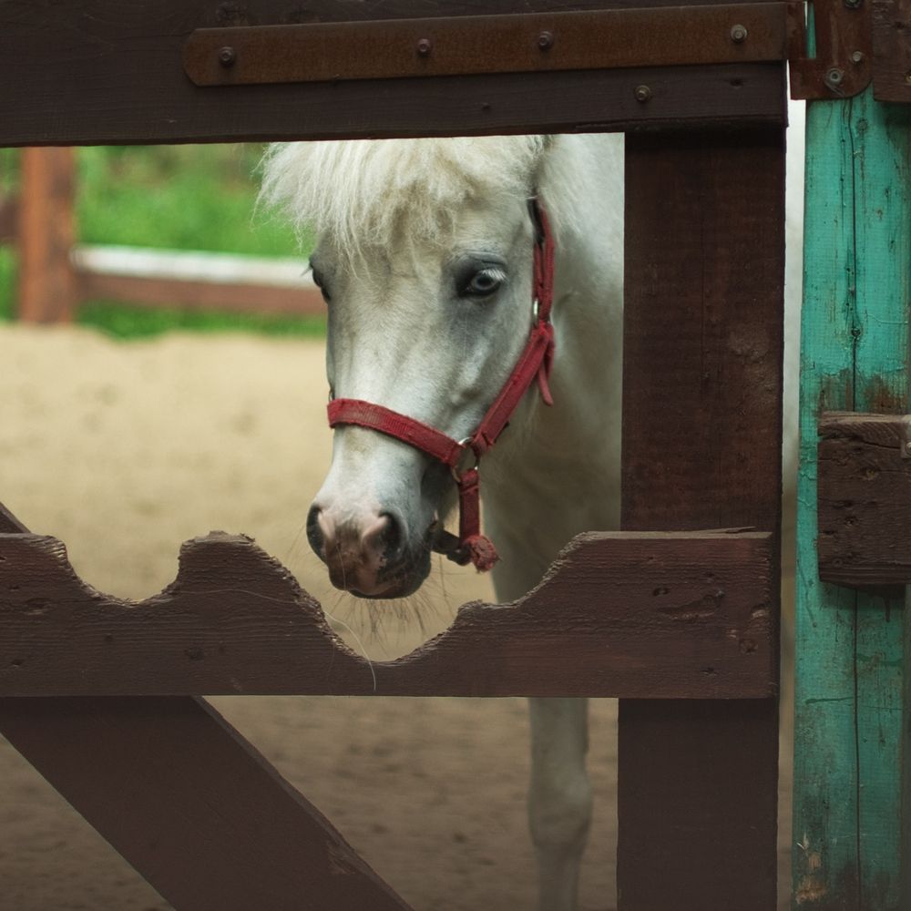 Photograph by Ясинский Константин