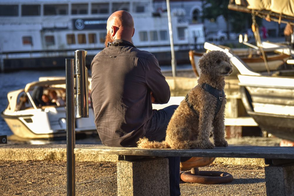 Photograph by Ирина Виноградова