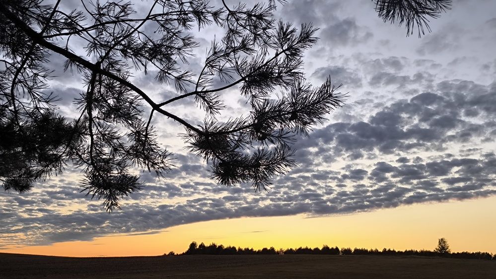 Photograph by Жанна Рутковская