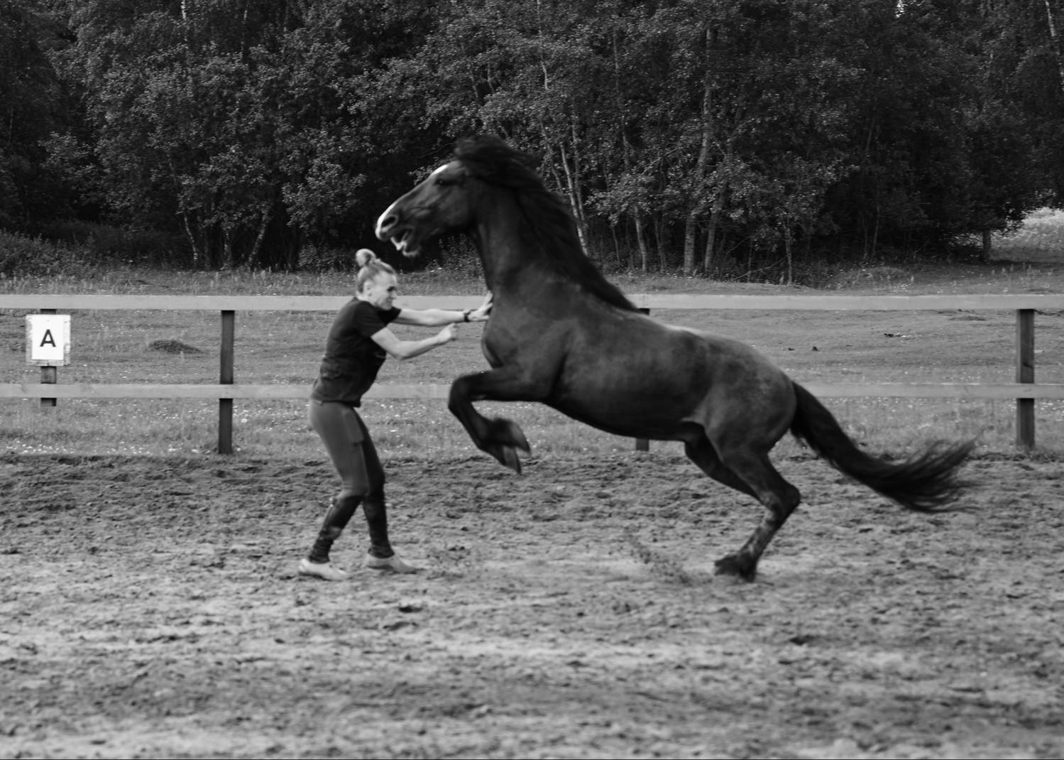 Photo #12539219