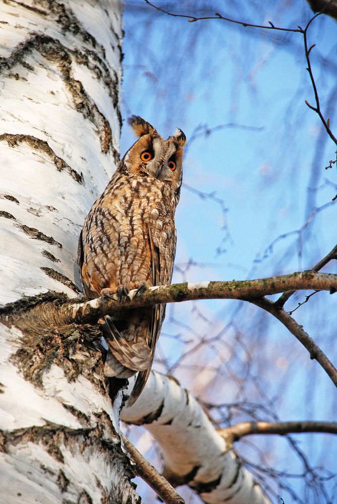 Photograph by Андрей Чуйков