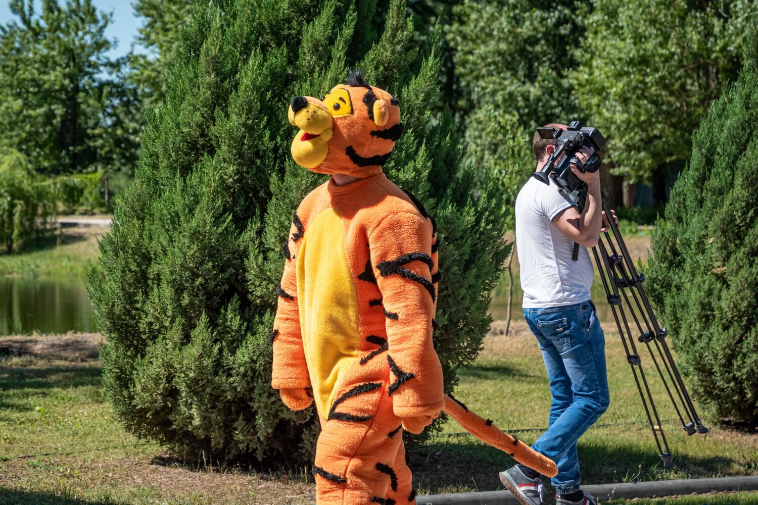 Рабочий момент