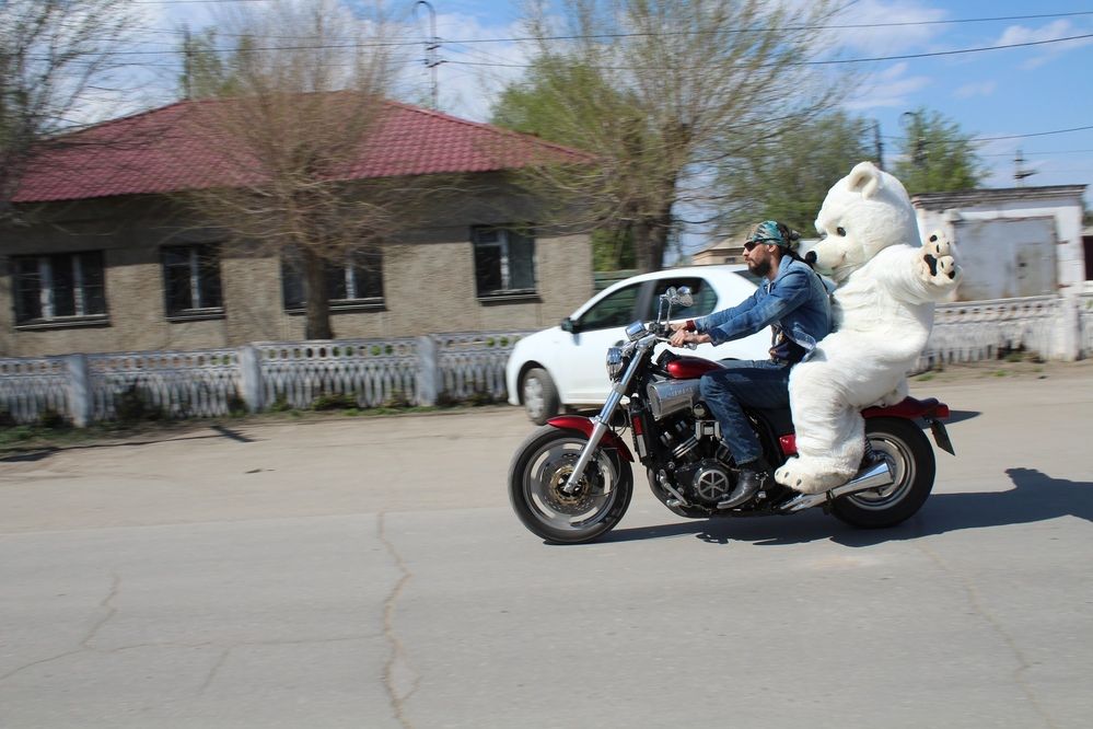 Photograph by дамир чекалин