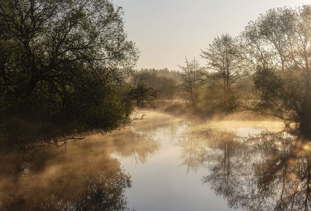 Photograph by Leanid Kulpo