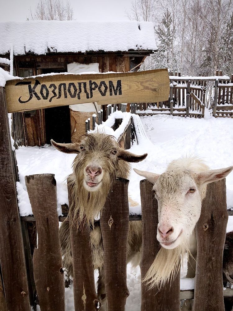 Фотография автора Евгения Елисеева