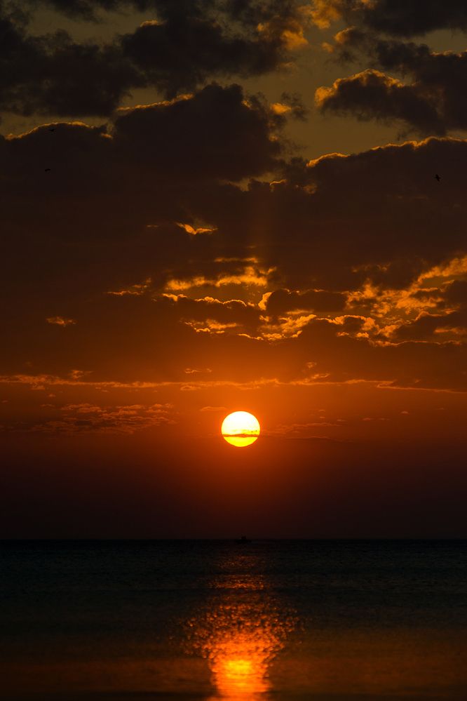 Photograph by Виктория Уварова