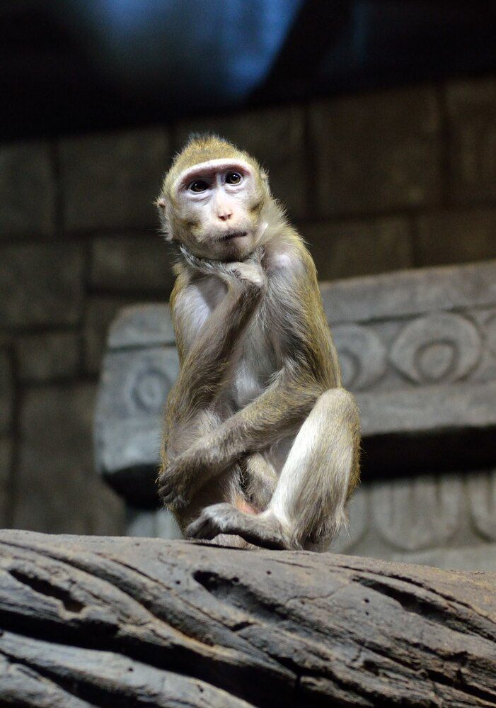 Фотография автора Никита Русецкий