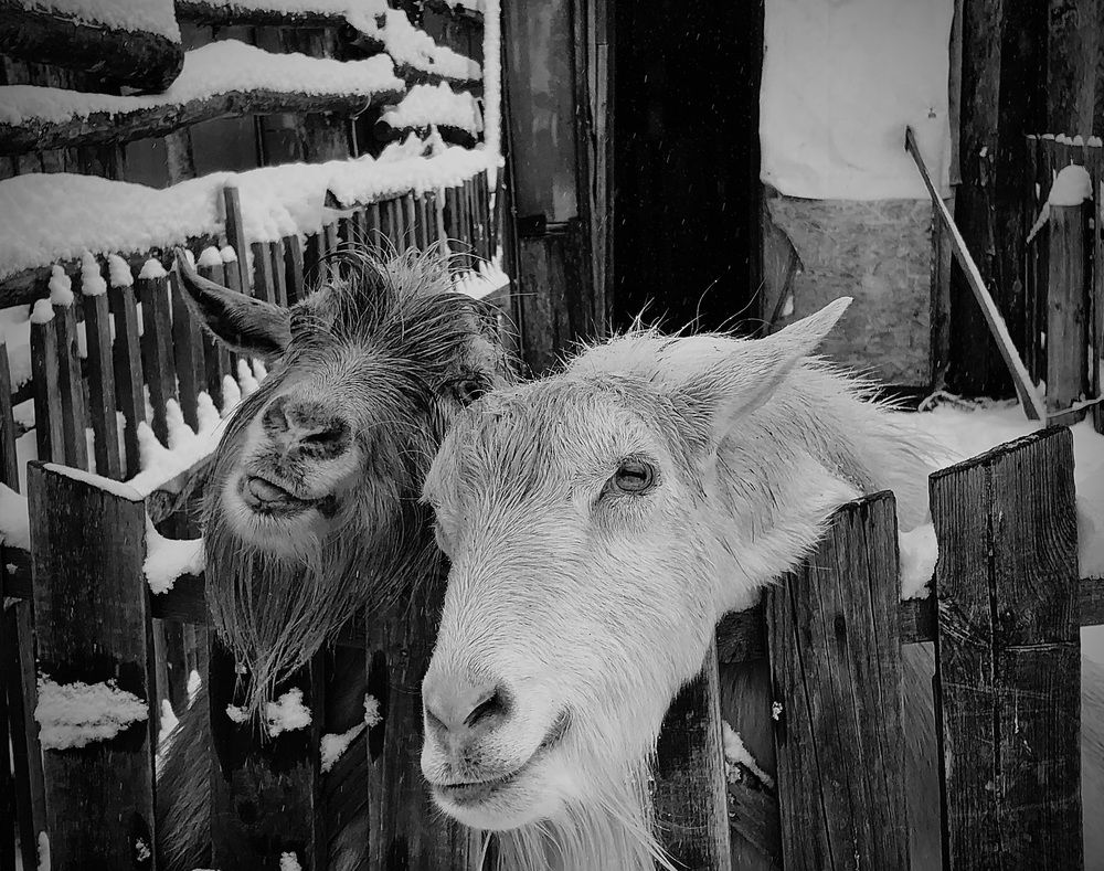 Фотография автора Евгения Елисеева