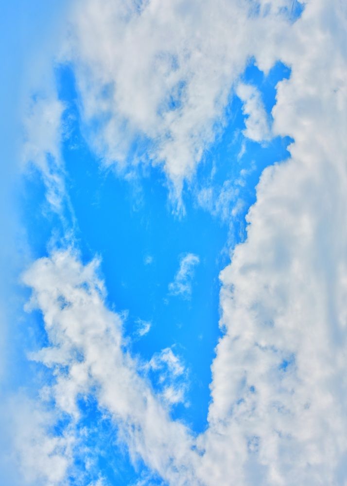 Photograph by SAIKAT PAL