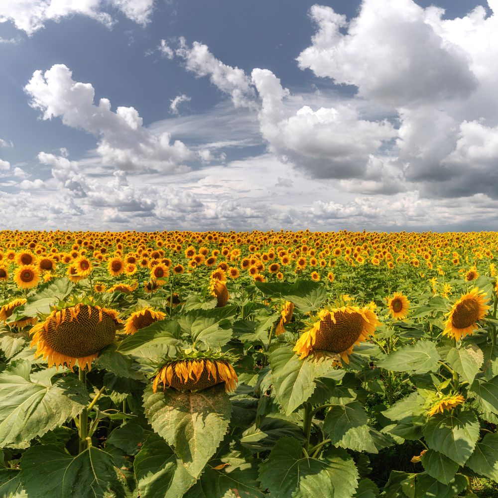 Photograph by Андрей Малыгин