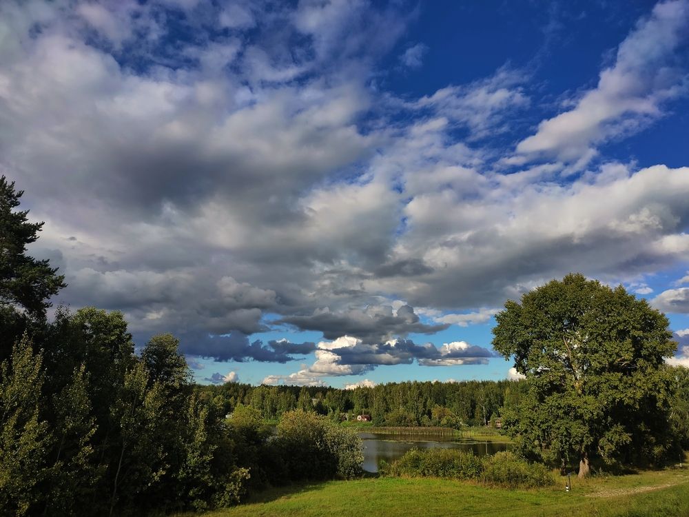 Photograph by Елена Верховская