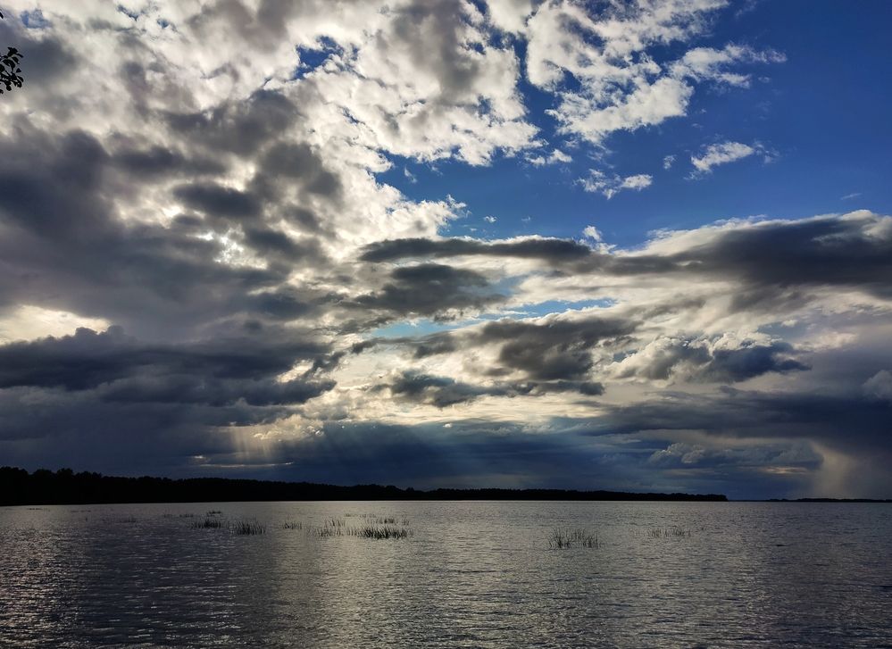 Photograph by Елена Верховская