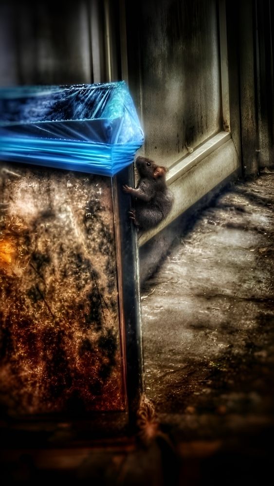 Photograph by Алена Самошина