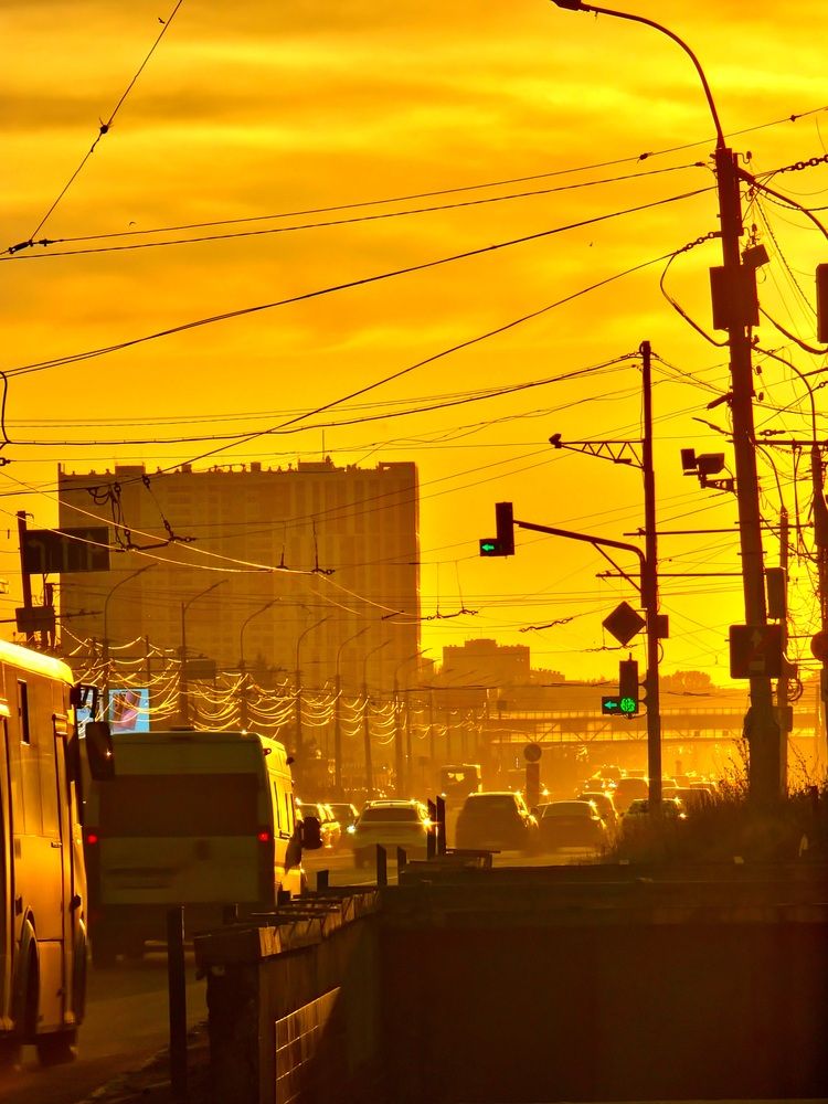 Photograph by Алена Самошина