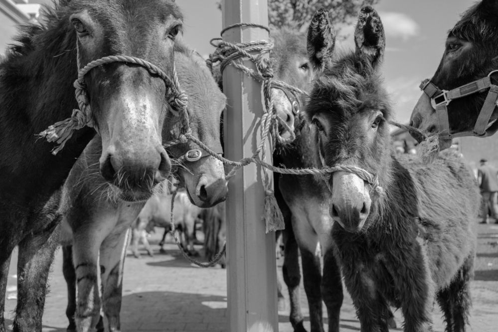 Photograph by Vaida Vaskiene