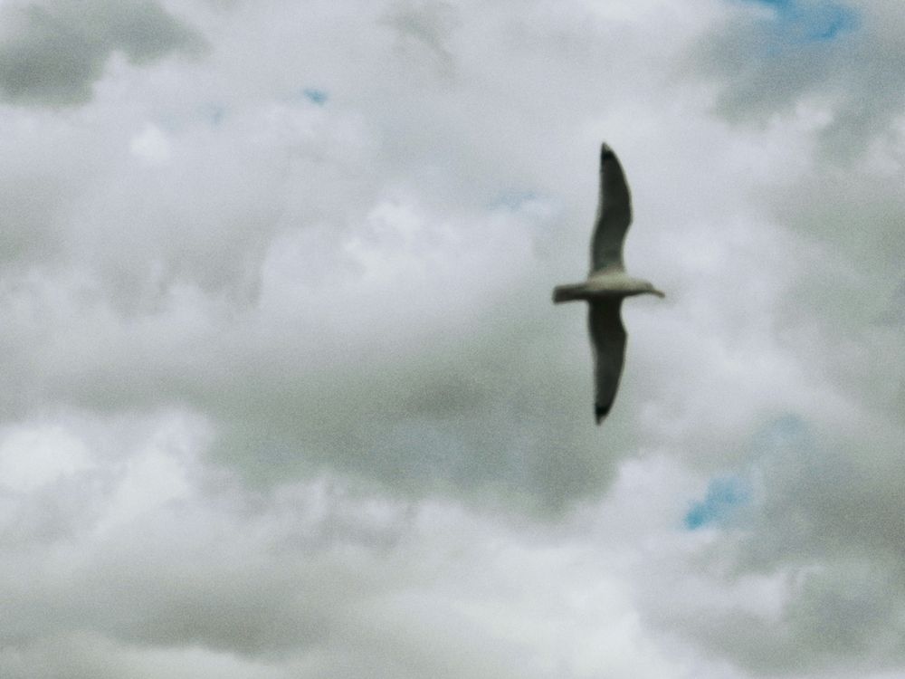 Photograph by Юлия Гусарова