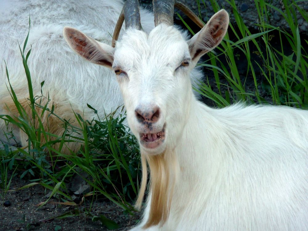 Photograph by Александр Бастраков