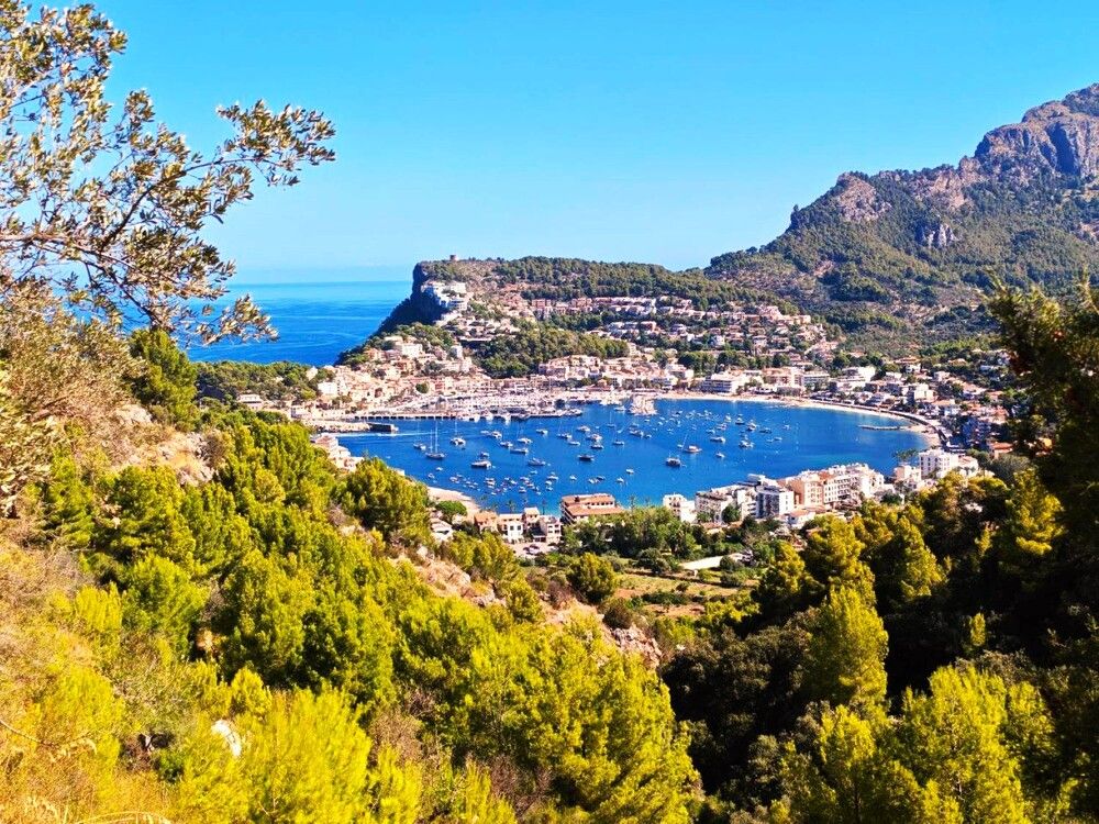 Фотография автора Natalie Liedtke