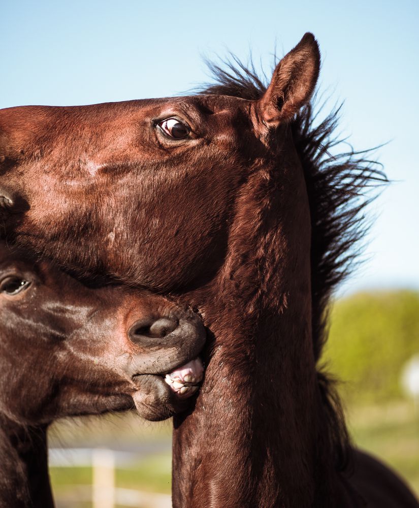 Photograph by Vaida Vaskiene