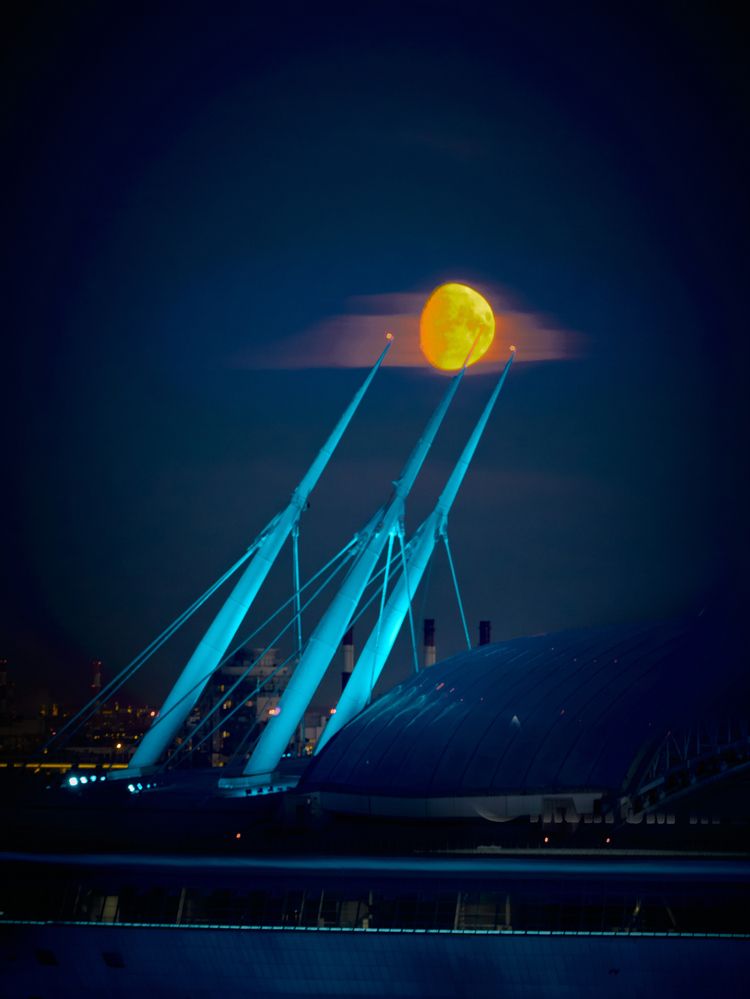 Запуталась