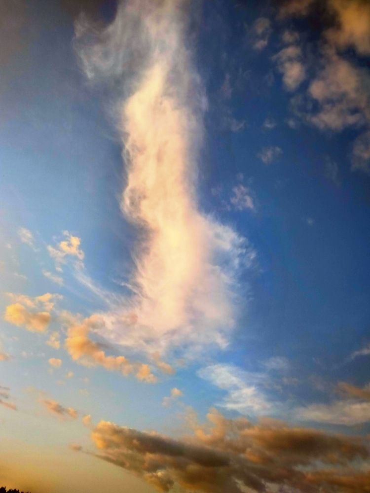 Photograph by Алла Кочергина