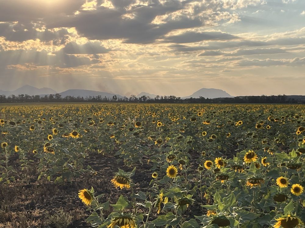Photograph by Анатолий Протасов