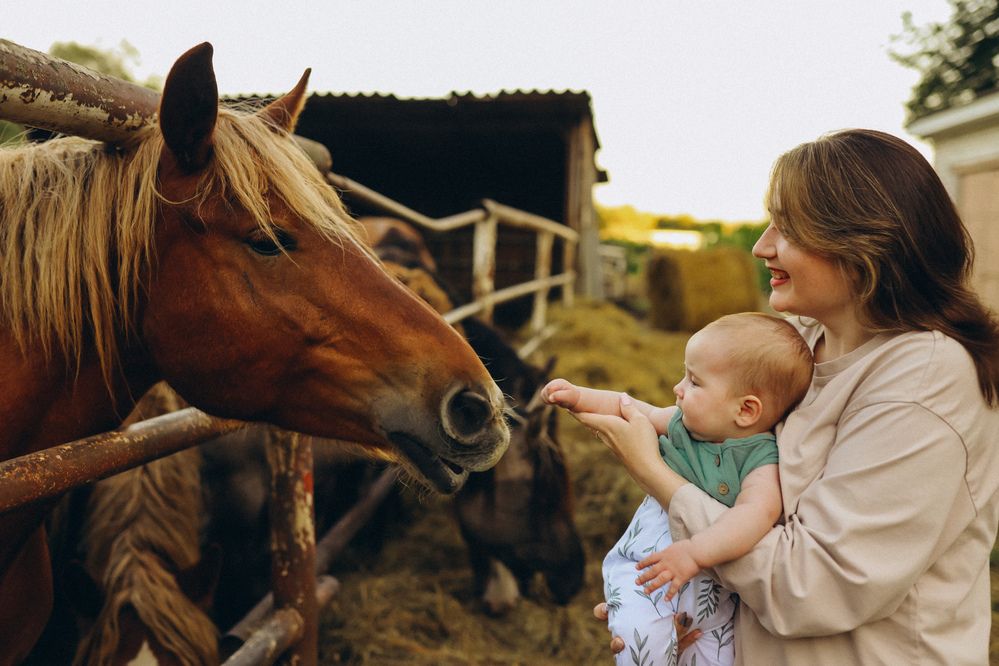 Photograph by Эля Омелянчук