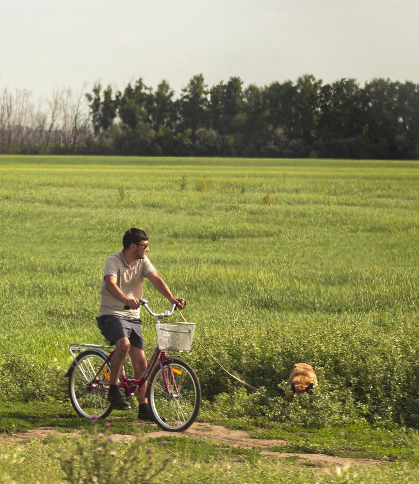 Photograph by Артем Архипов