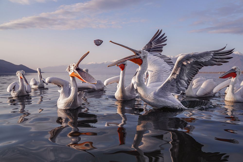 Photograph by Дорн Оксана