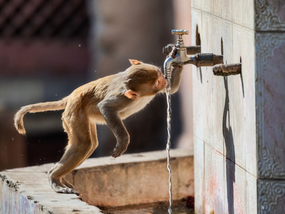 Photograph by Эрнест Вахеди