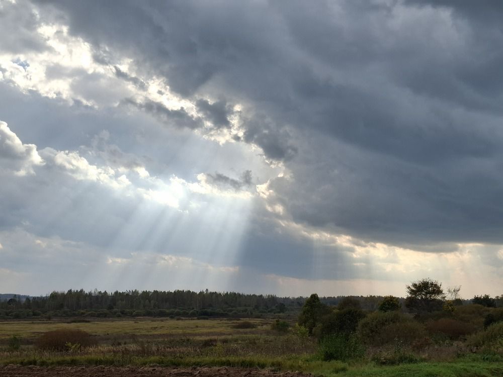 Photograph by Анастасия Гурова