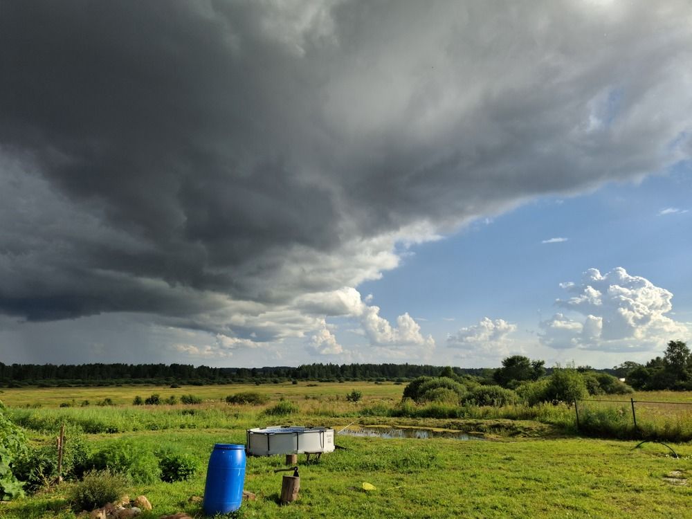 Photograph by Анастасия Гурова