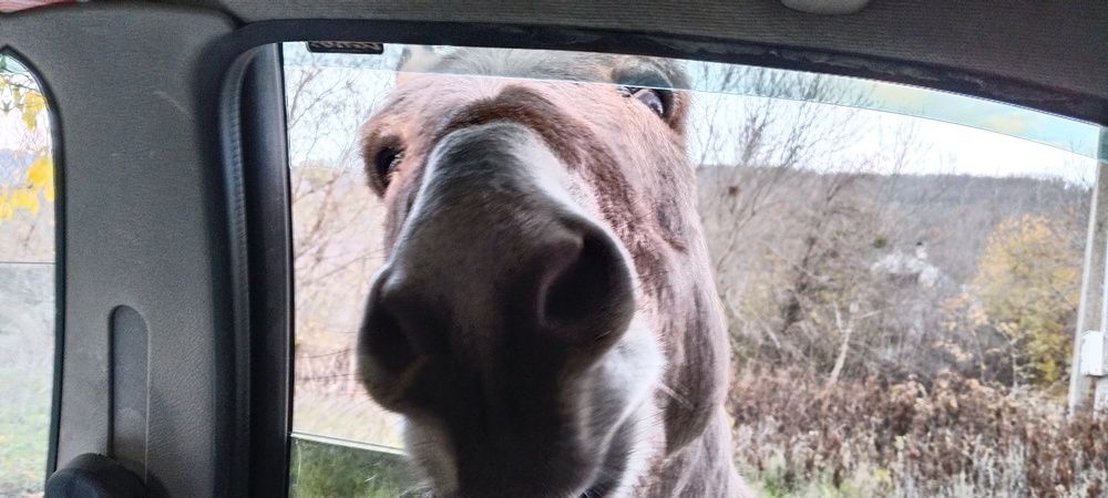 Photograph by Татьяна Стаскевич