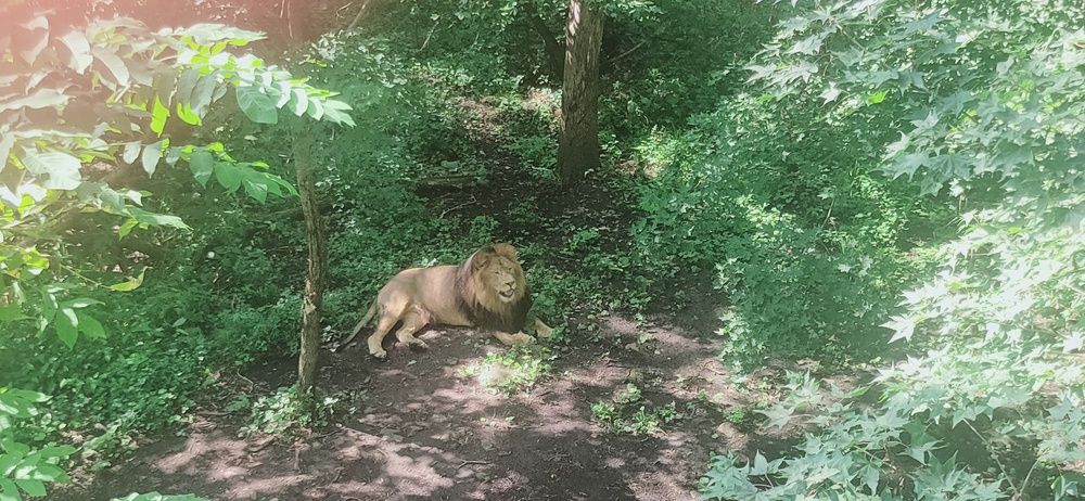 Фотография автора Марина Карасева