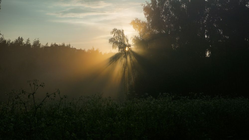 Photograph by Степан Тихон