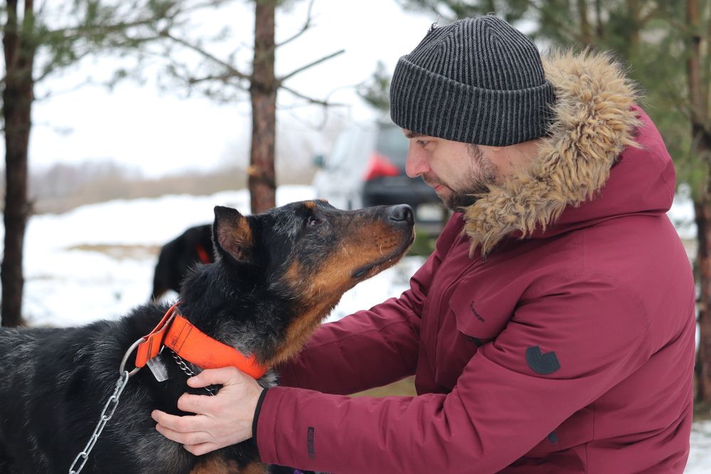 Photograph by Алексейчик Дмитрий