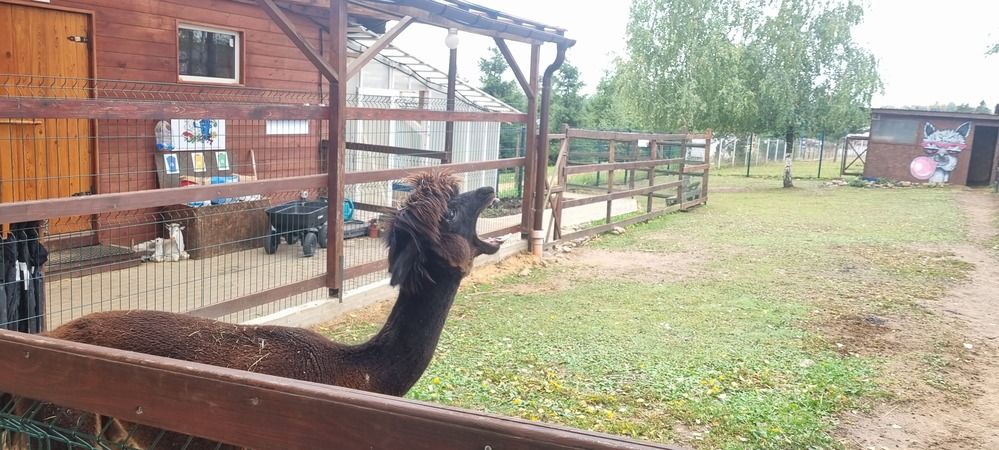 Фотография автора Марина Карасева