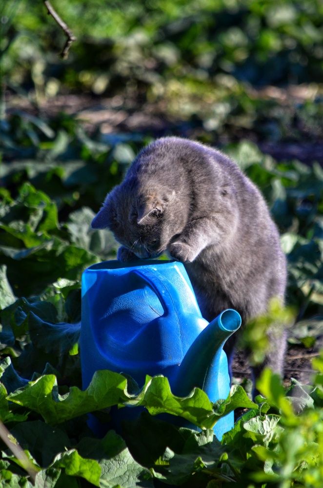 Photograph by Алена Самошина