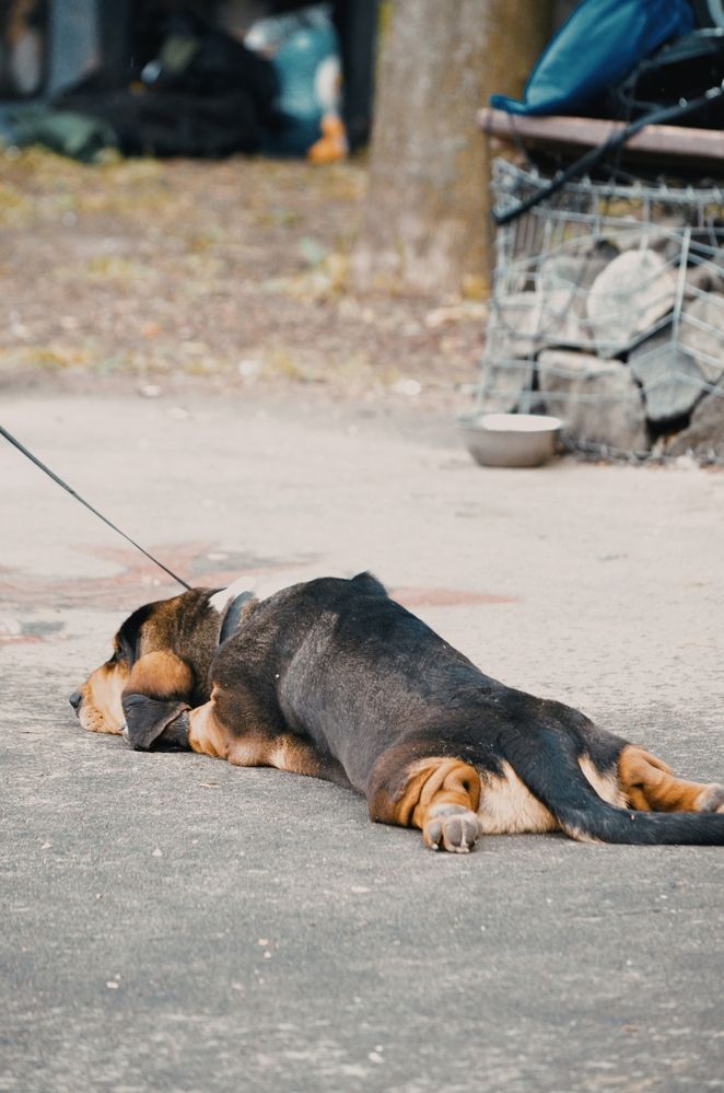 Photograph by Алена Самошина