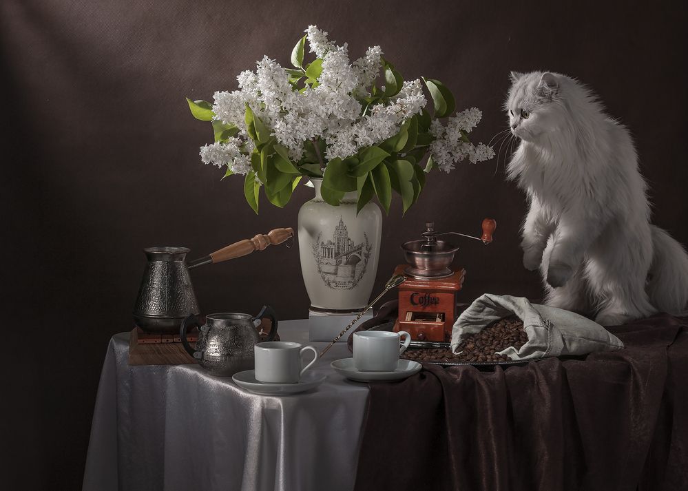 Муха в сирени