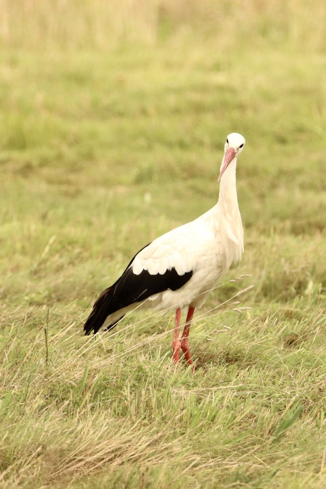 Photograph by Olga Bokareva