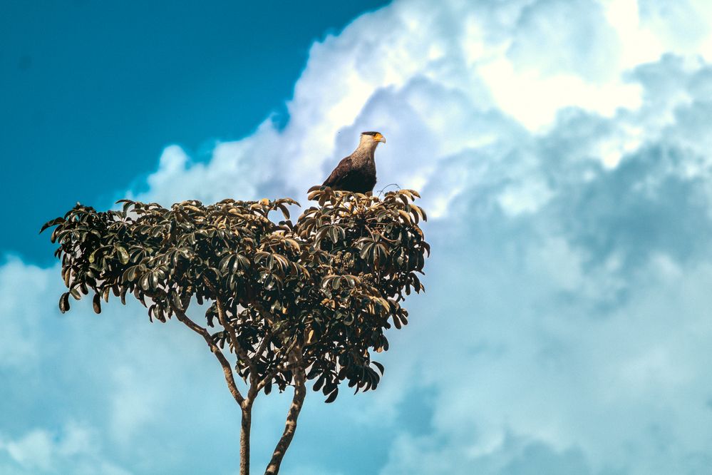 Photograph by Renan Alves Dantas