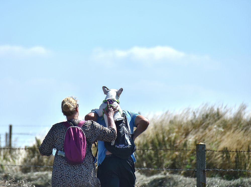 Photograph by Ирина Виноградова